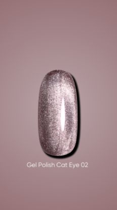  Зображення Гель лак Dark Cat Eye 02, 10ml 