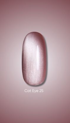  Зображення Гель лак Dark Cat Eye 25, 10ml 
