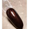  Зображення Гель лак 10ml Dark 113 