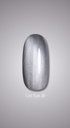  Зображення Гель лак Dark Cat Eye 28, 10ml 