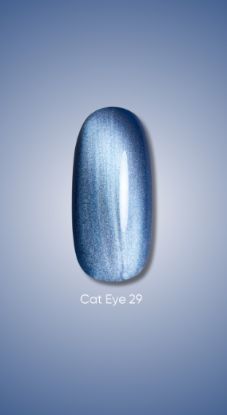  Зображення Гель лак Dark Cat Eye 29, 10ml 
