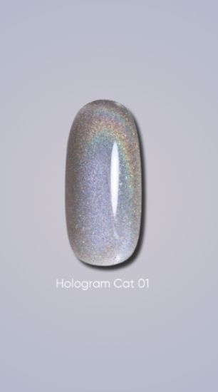  Зображення Гель лак Dark Hologram Cat 01, 6ml 