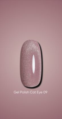  Зображення Гель лак Dark Cat Eye 09, 10ml 