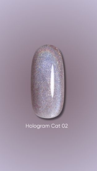  Зображення Гель лак Dark Hologram Cat 02, 6ml 